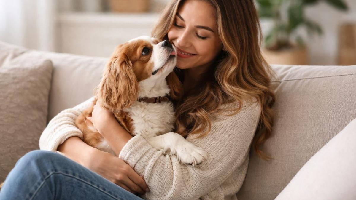 Terapia blănoasă: Impactul profund al animalelor asupra sănătății mentale și fizice a oamenilor