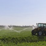 Impactul investițiilor în infrastructura de irigații asupra agriculturii românești: o oportunitate pierdută?