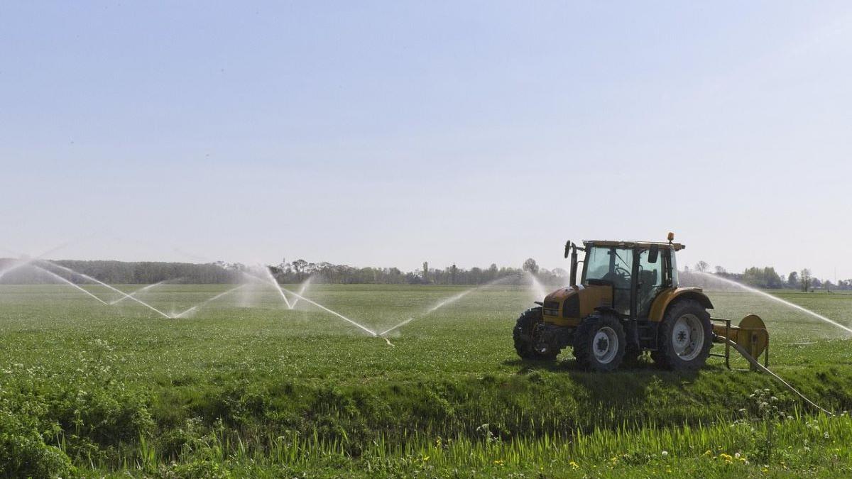 Impactul investițiilor în infrastructura de irigații asupra agriculturii românești: o oportunitate pierdută?