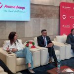 AnimaWings: Inovație și Reziliență în Fața Crizei Kerosenului