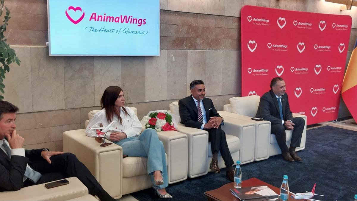 AnimaWings: Inovație și Reziliență în Fața Crizei Kerosenului