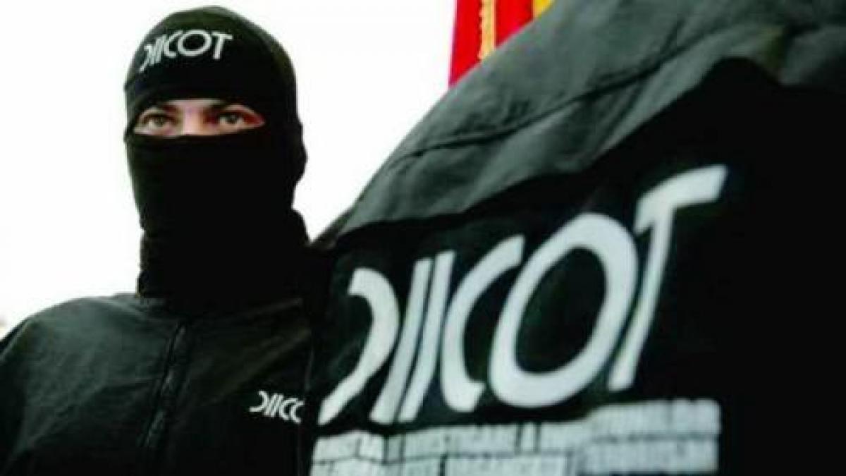Percheziții de amploare în combaterea contrabandei cu țigări: O privire detaliată asupra rețelelor transfrontaliere și impactul lor asupra societății românești