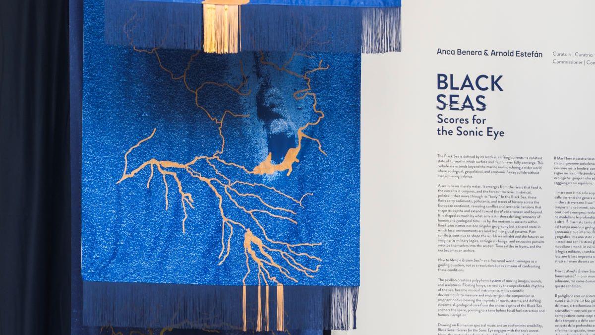 Pavilionul României la Bienala de Artă de la Veneția: O privire detaliată asupra proiectului „Black Seas – Scores for the Sonic Eye”