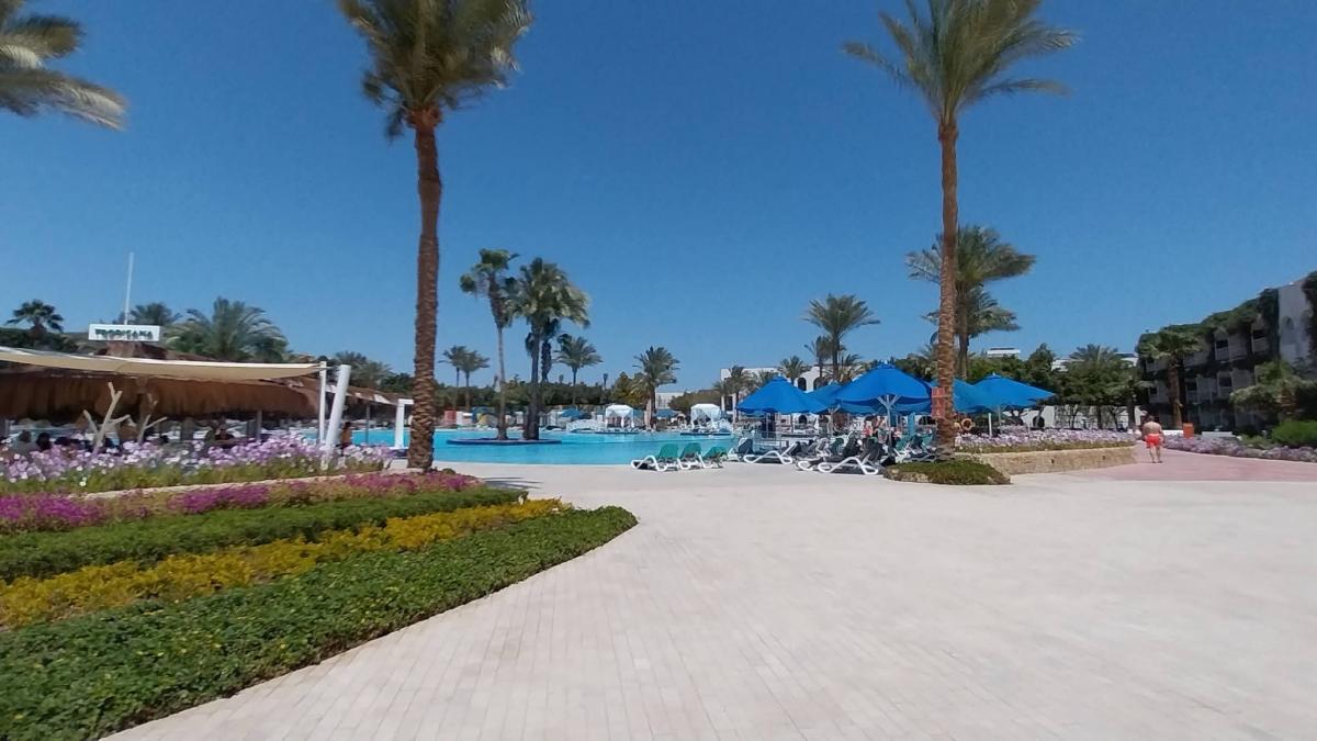 Optimismul agențiilor de turism românești: Oameni și strategii în fața crizei economice