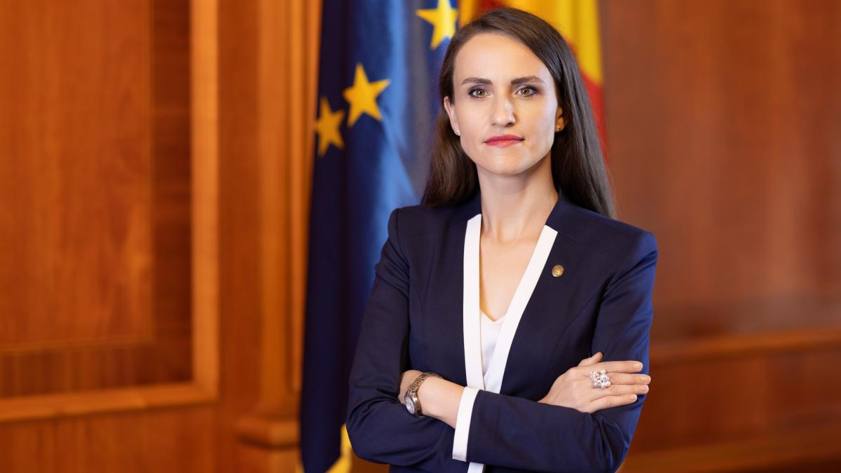 Oana Țoiu și umilirea activiștilor: Un apel la respect și demnitate în fața provocărilor internaționale