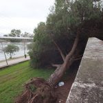 Avertizare METEO: Ploi Torențiale și Vânt Puternic – Impactul Asupra Comunităților din România