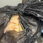 Controversa British School: Probleme de sănătate și măsuri de siguranță în educația privată din România