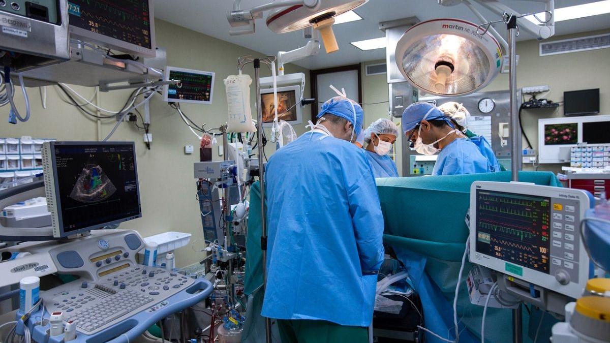 Limitele neuroștiinței: De ce transplanturile de creier rămân un vis imposibil