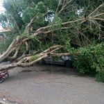 Cod Portocaliu de Vânt Puternic: Implicații și Măsuri de Siguranță în fața Fenomenelor Meteo Extreme