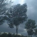 Cod portocaliu de vijelii în Bacău: Ce înseamnă și cum ne afectează fenomenele meteo extreme?