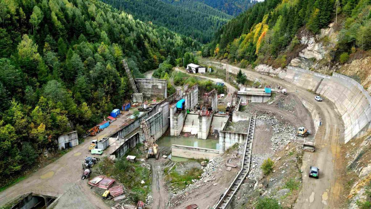 Controversa Hidrocentralei Surduc-Siriu: Impactul Ecologic și Implicațiile pentru Viitor