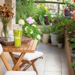 Plante pentru Caniculă: Ghidul Complet pentru un Balcon Floral Rezistent la Căldură