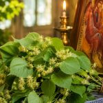 Ceea ce trebuie să faci cu ramurile sfințite de Rusalii: Tradiții, semnificații și implicații culturale