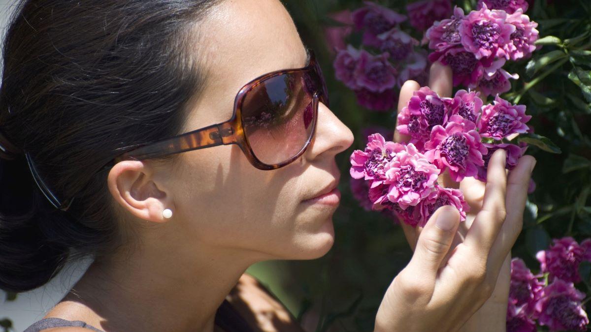 Horoscopul Zilei: Cum Influentează Luna în Capricorn Destinul Zodiilor pe 2 Iunie 2026