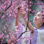 Horoscop chinezesc iunie 2026: Zodiile care atrag norocul și prosperitatea în luna viitoare