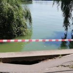Intervenția PMB pentru revitalizarea Lacului Herăstrău: O măsură necesară în fața degradării ecologice
