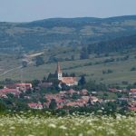 Explozia interesului pentru viața la țară: O analiză a tendințelor și construcțiilor în comunitățile rurale din România