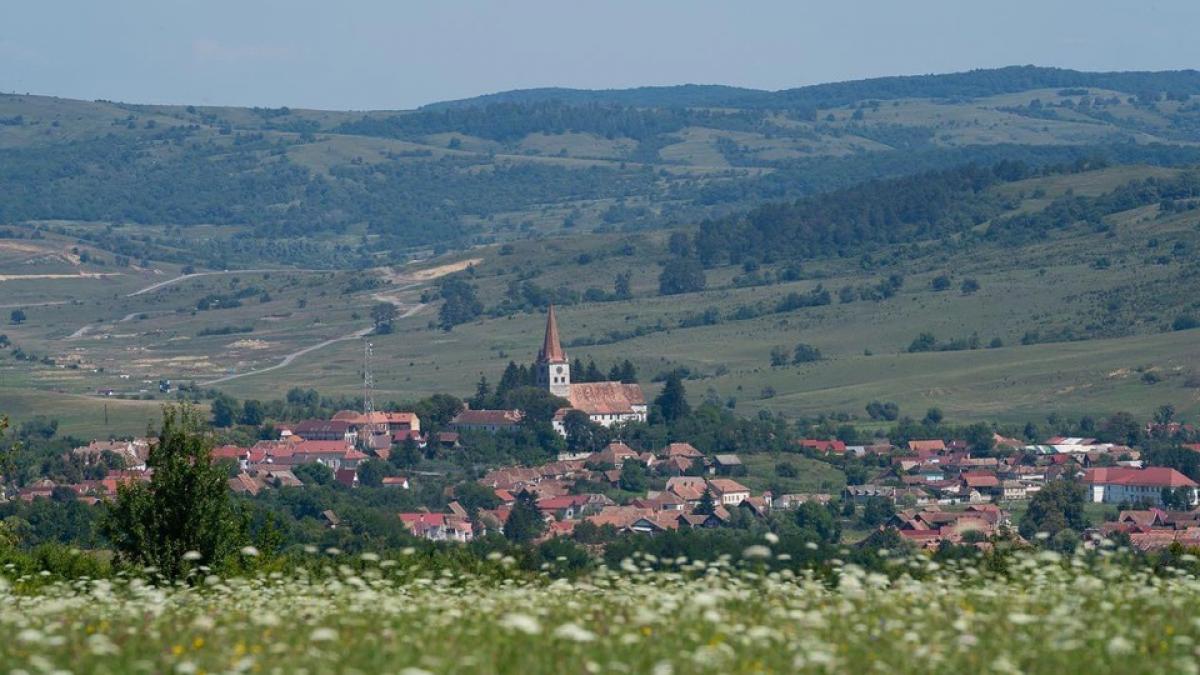 Explozia interesului pentru viața la țară: O analiză a tendințelor și construcțiilor în comunitățile rurale din România
