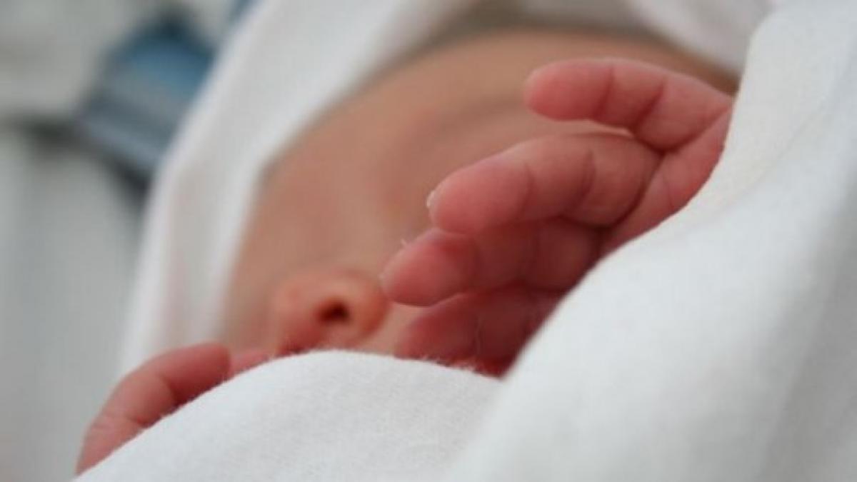 Valurile de căldură și impactul acestora asupra sarcinilor: O criză silențioasă în Europa