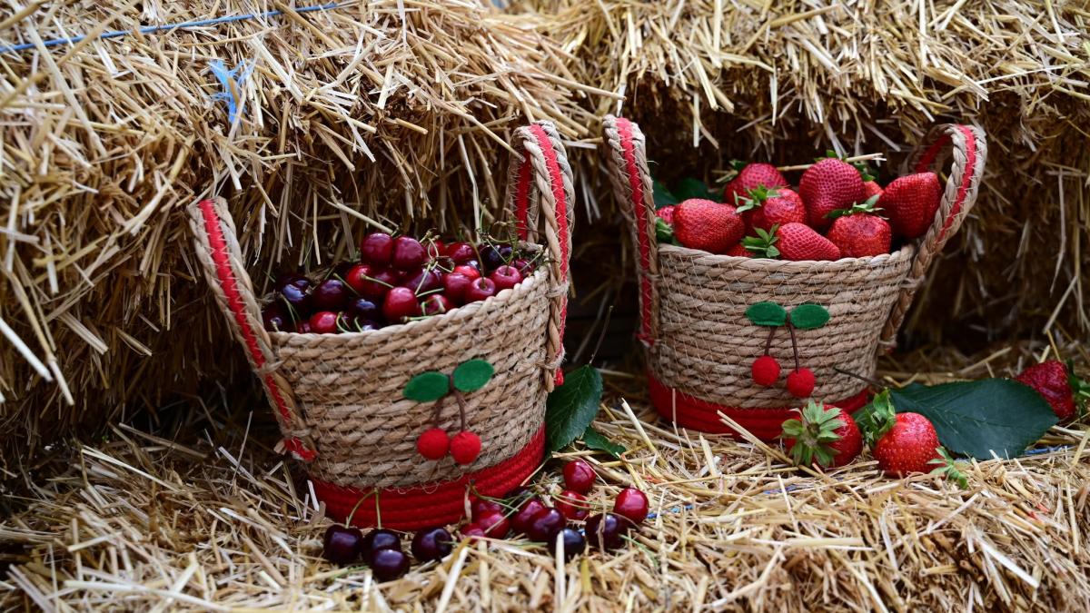 Festivalul Cireșelor și Căpșunilor: O Sărbătoare a Fructelor și a Tradițiilor Românești în Piața Matache