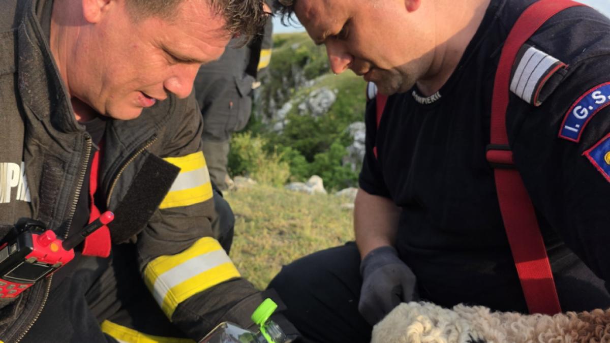 Salvarea unei Vieți în Cheile Turenilor: O Famile și Curajul lor în Fața Naturii