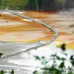 Redescoperirea Comorilor Naționale: O Privire Asupra Resurselor Neexplorate ale României