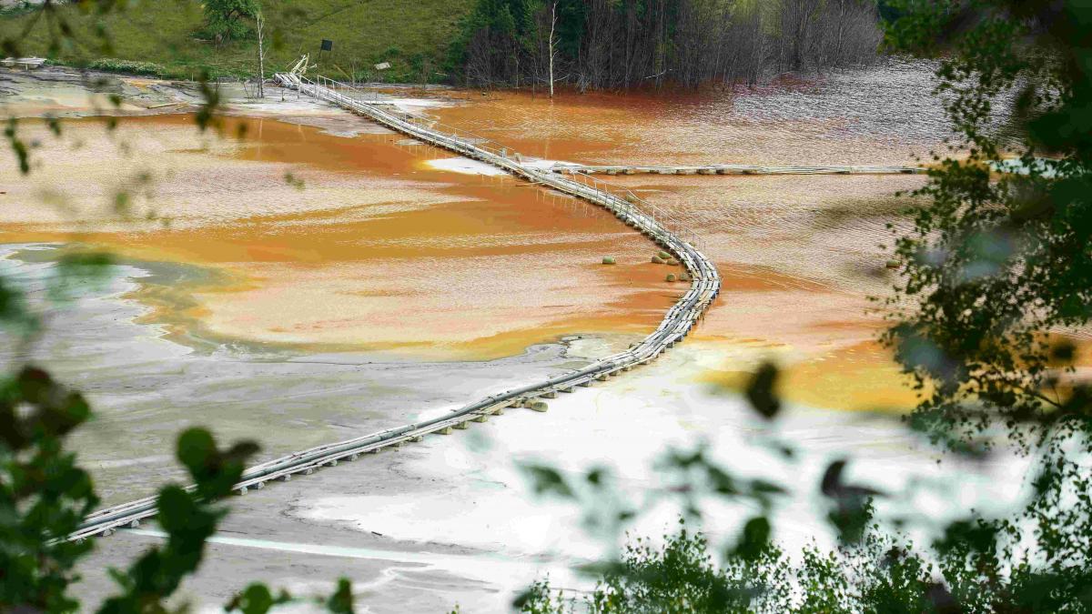 Redescoperirea Comorilor Naționale: O Privire Asupra Resurselor Neexplorate ale României