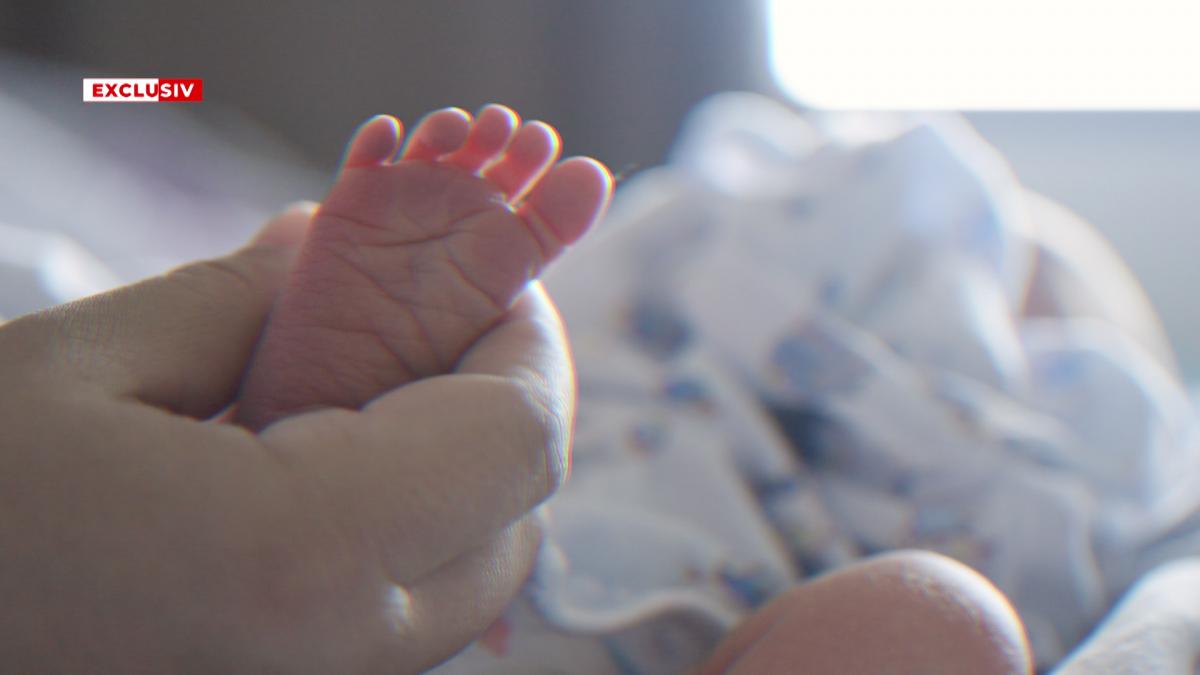 Bursa Neagră a Mamelor Surogat: O Privire Detaliată Asupra Pieței Ascunse a Mamelor de Închiriat