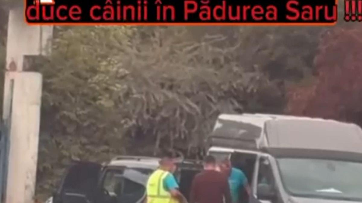 Cristian Cismaru cere o anchetă după imagini controversate privind transportul câinilor capturați