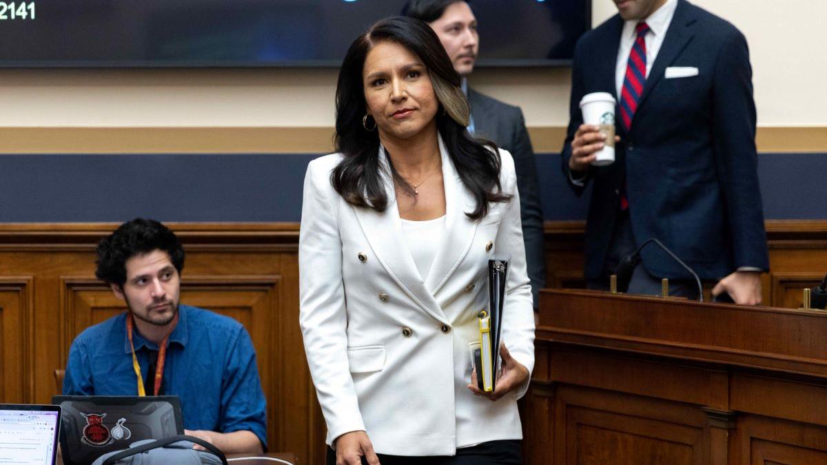 Rețelele Biologice: Revelațiile Tulsi Gabbard despre Laboratoarele din Ucraina și Implicațiile Acestora