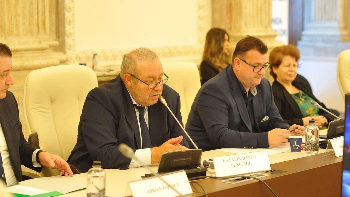 Controversele din Politica Românească: Critica PNL asupra Desemnării lui Veștea și Implicațiile Sale Legale și Politice