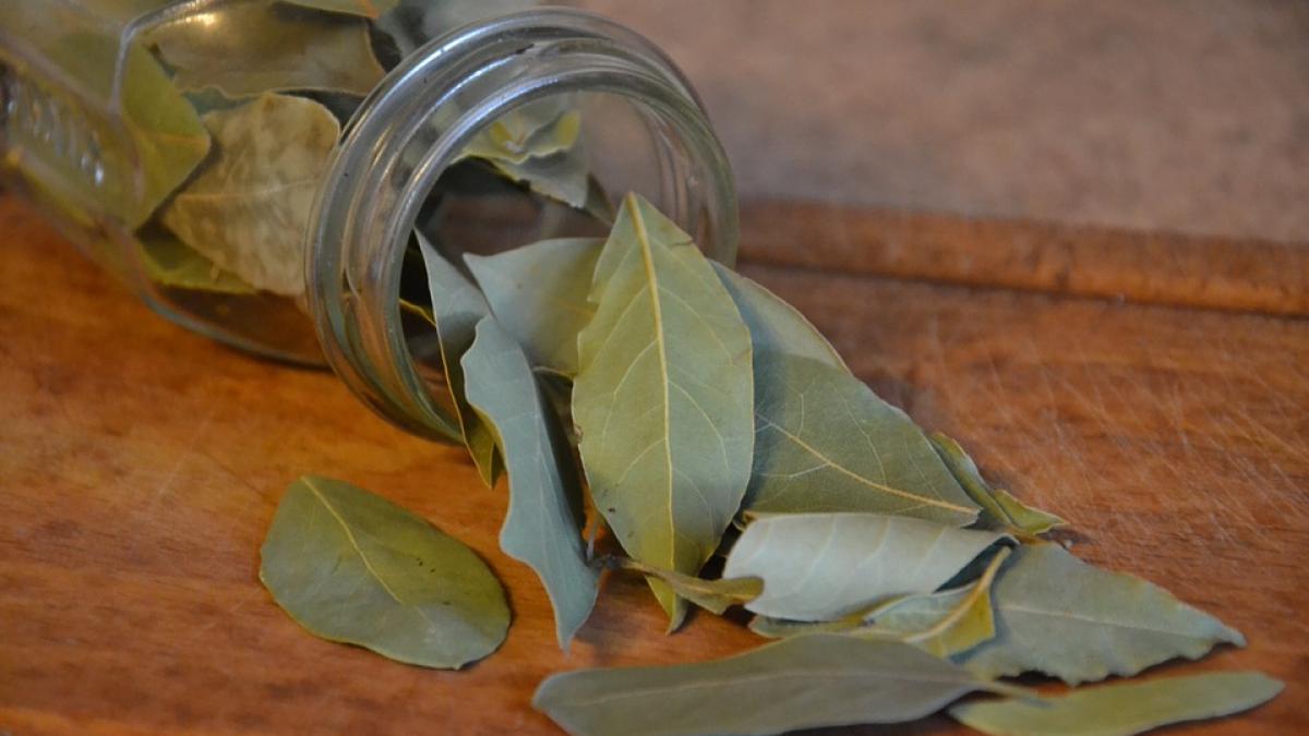 Reîmprospătarea hainelor decolorate: Metode naturale care salvează garderoba