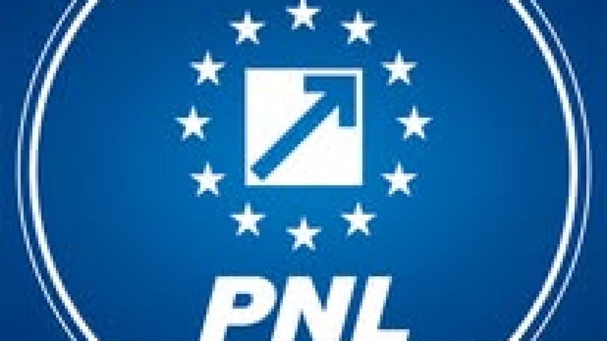 Alegerile din PNL: O nouă conducere într-un context politic complex