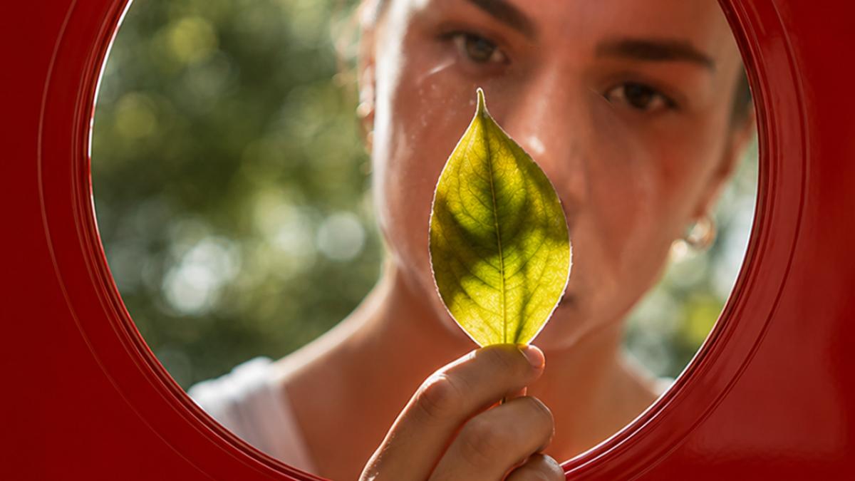 Plantele Medicinale: Oglinda Sufletului Tău în Funcție de Data Nașterii