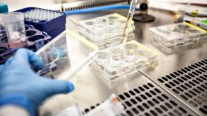 Explorarea Genomului: O Nouă Frontieră în Lupta Împotriva Cancerului prin Studiul Bolilor Rare