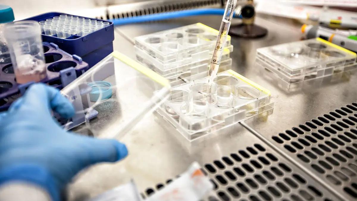 Explorarea Genomului: O Nouă Frontieră în Lupta Împotriva Cancerului prin Studiul Bolilor Rare