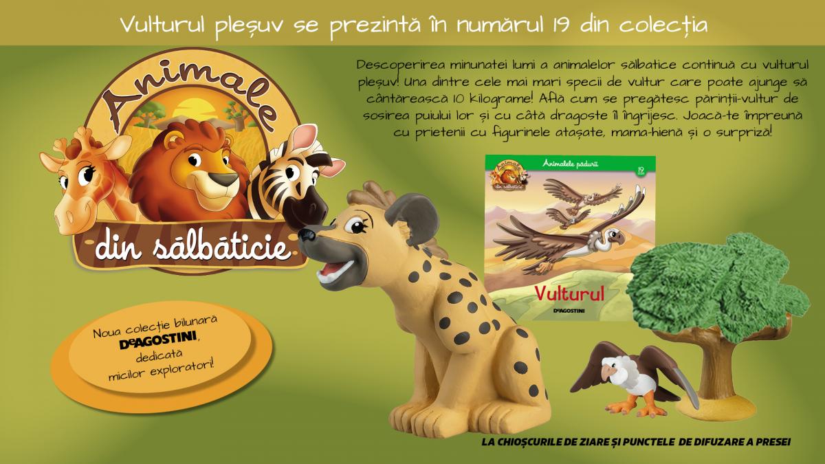Vulturul pleșuv: simbol al biodiversității și provocărilor ecologice contemporane