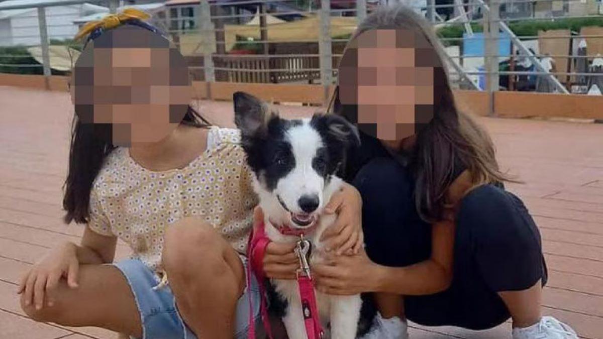 Descoperirea Surorilor Dispărute din Italia: O Poveste de Răpire și Redescoperire