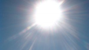 Caniculă istorică în Regatul Unit: Impactul temperaturilor extreme asupra societății și mediului