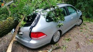 Vijelii devastatoare în România: Impactul inundațiilor și al vremii extreme asupra comunităților locale