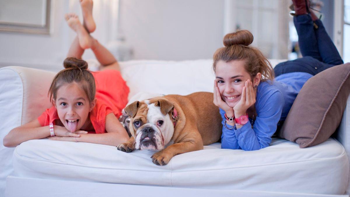 Rasa de câini care ți se potrivește cel mai bine, în funcție de zodie: O analiză profundă asupra legăturii dintre astrologie și alegerile noastre canine