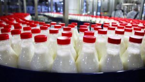 Paradoxul laptelui românesc: De la producție abundentă la procesare insuficientă