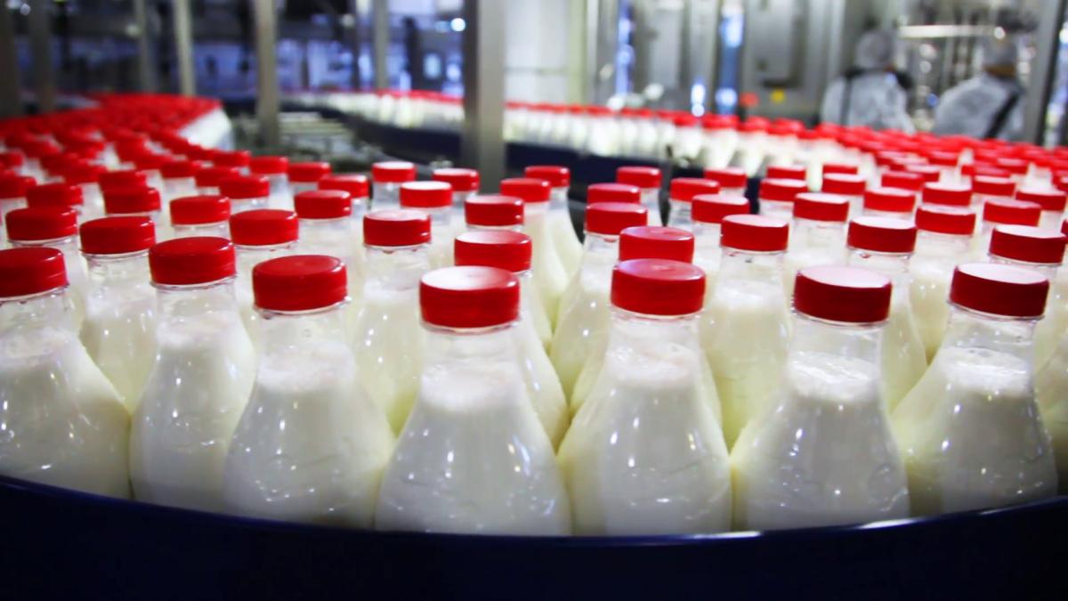 Paradoxul laptelui românesc: De la producție abundentă la procesare insuficientă