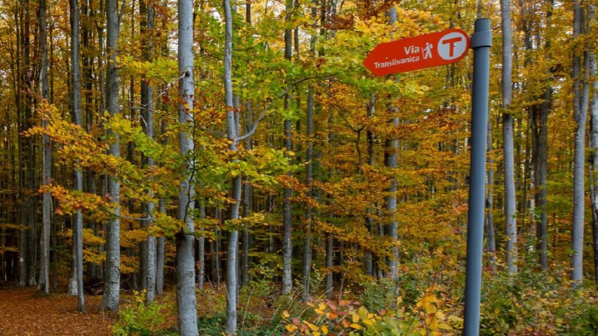Via Transilvanica: O călătorie captivantă prin inima României, rivalizând Camino de Santiago