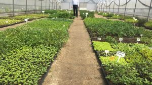 Impactul Reducerilor de Prețuri asupra Calității Alimentelor: O Analiză Detaliată