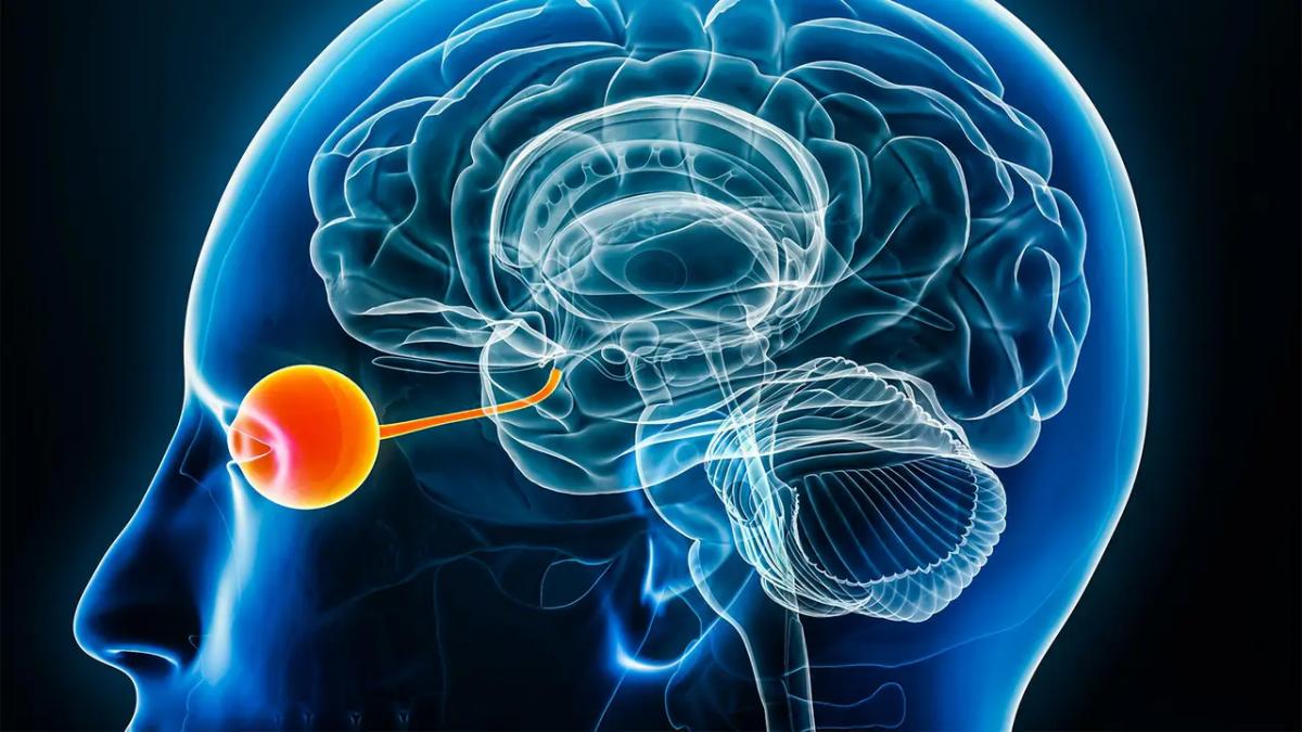 Descoperirea puterilor de vindecare ascunse: Oamenii și abilitățile lor extraordinare