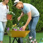 Grădinăritul ca Terapeut: Cum Să Transformi O Activitate Ușoară pentru Toți Vârstele