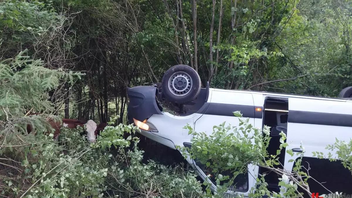 Tragedie pe drumurile austriece: Microbuz cu români prăbușit într-o râpă