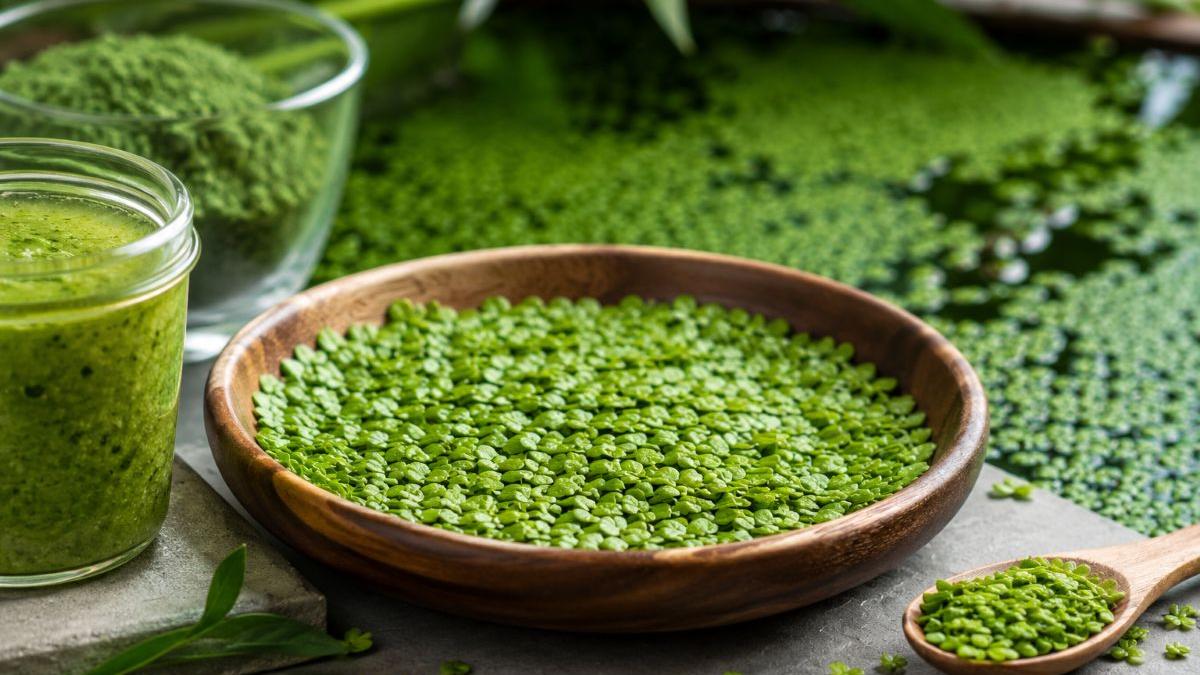 Mankai: Superplanta Acvatică Care Revoluționează Alimentația Sănătoasă