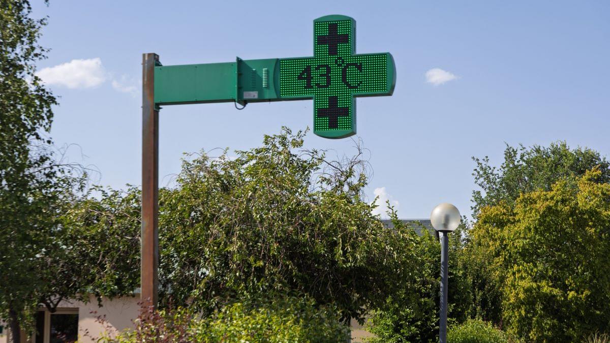 Canicula din Franța: O criză sanitară în fața extremelor climatice